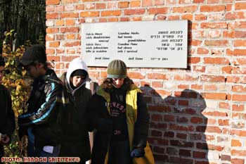 IMG_ (10537)